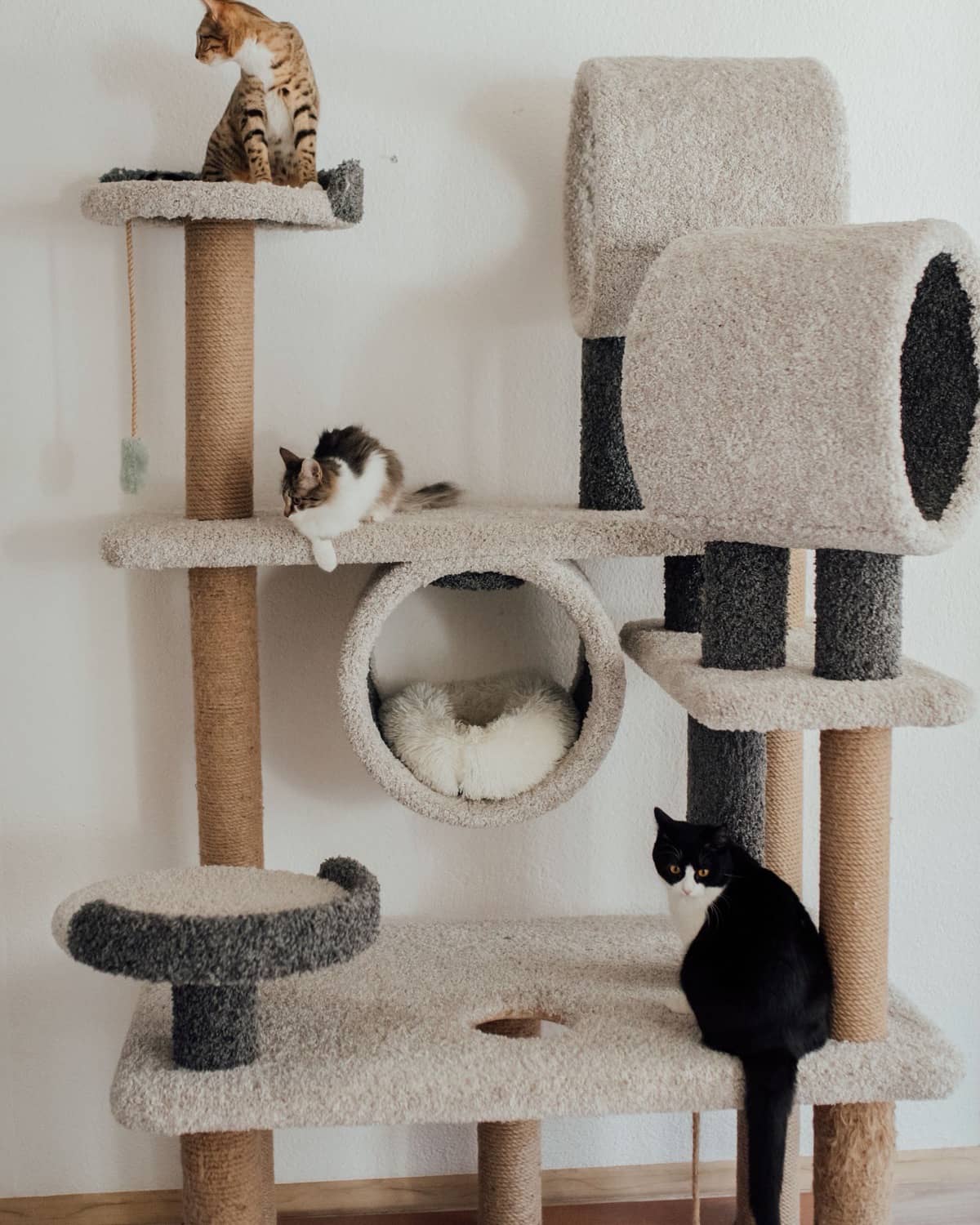 Großer Kratzbaum mit mehreren Ebenen, drei Katzen darauf